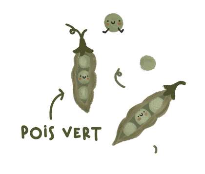 Collection Verte - Pois vert