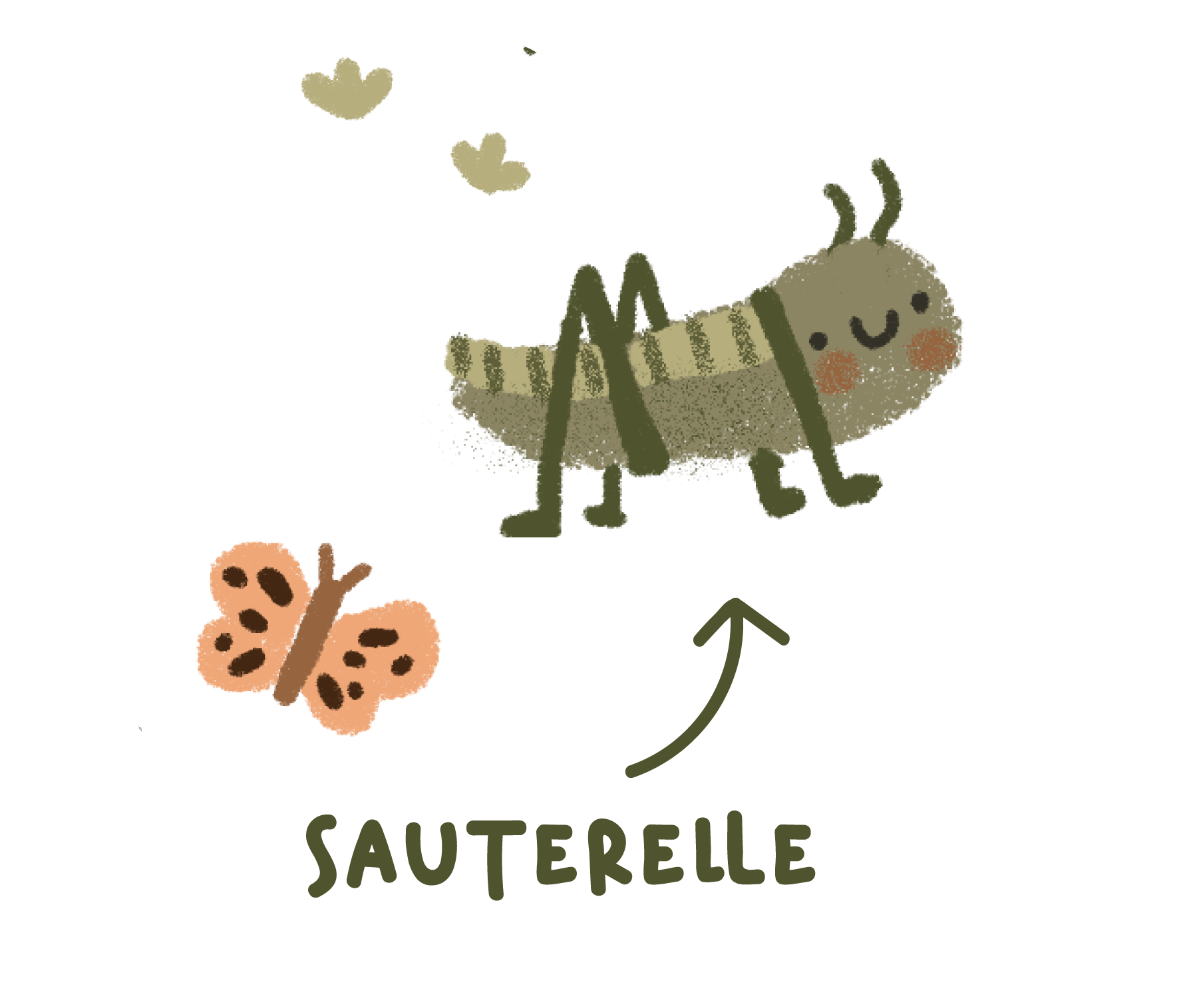 Collection Verte - Sauterelle