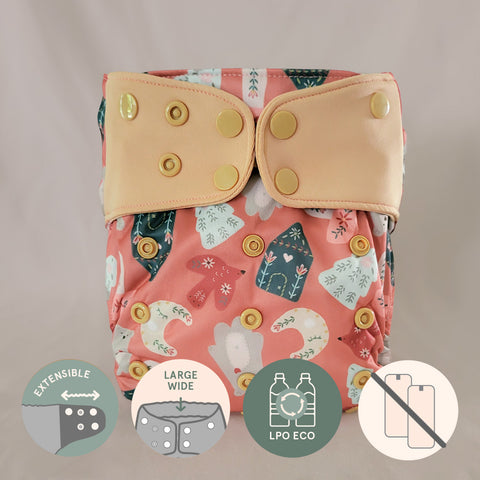 Évolution | Couche à poche
