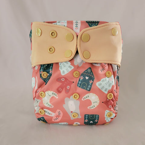 Évolution | Couche à poche