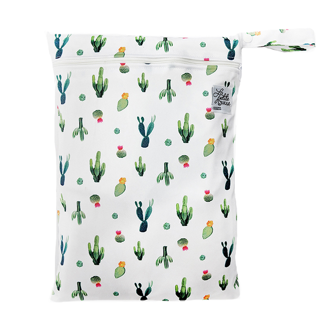 Cactus régulier