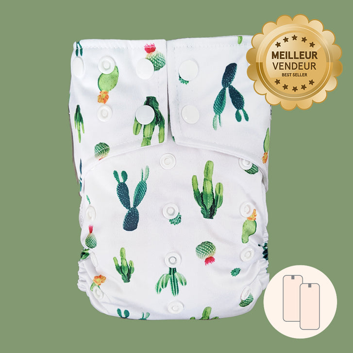 Cactus