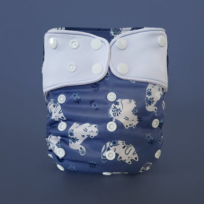 Évolution | Couche à poche
